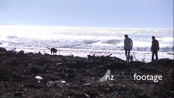 Walking Dogs at Beach 2876